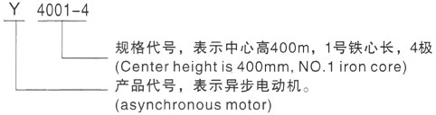 西安泰富西玛Y系列(H355-1000)高压YJTG-802-2A/1.1KW三相异步电机型号说明