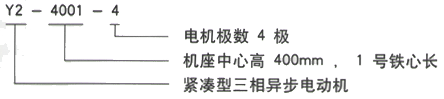 YR系列(H355-1000)高压YJTG-802-2A/1.1KW三相异步电机西安西玛电机型号说明